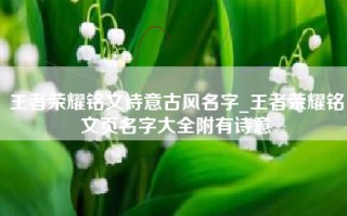 王者荣耀铭文诗意古风名字_王者荣耀铭文页名字大全附有诗意