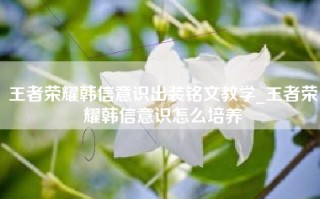 王者荣耀韩信意识出装铭文教学_王者荣耀韩信意识怎么培养