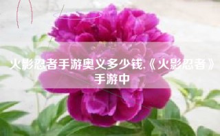 火影忍者手游奥义多少钱,《火影忍者》手游中
