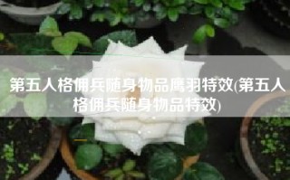 第五人格佣兵随身物品鹰羽特效(第五人格佣兵随身物品特效)