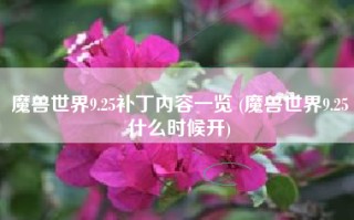 魔兽世界9.25补丁内容一览 (魔兽世界9.25什么时候开)
