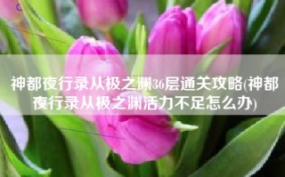 神都夜行录从极之渊36层通关攻略(神都夜行录从极之渊活力不足怎么办)