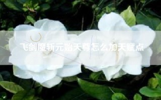 飞剑魔斩元始天尊怎么加天赋点