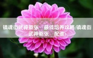 镇魂街武神躯张郃最佳培养攻略(镇魂街武神躯张郃配谁)