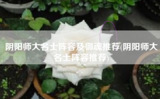 阴阳师大名士阵容及御魂推荐(阴阳师大名士阵容推荐)