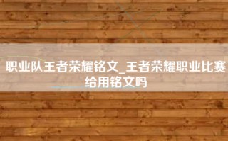 职业队王者荣耀铭文_王者荣耀职业比赛给用铭文吗