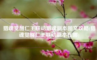 猎魂觉醒仁王联动猎魂副本图文攻略(猎魂觉醒仁王联动副本在哪)