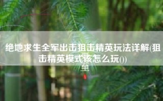 绝地求生全军出击狙击精英玩法详解(狙击精英模式该怎么玩())