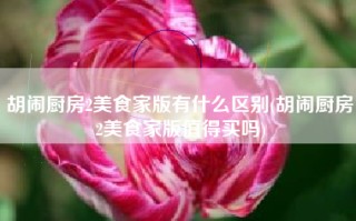 胡闹厨房2美食家版有什么区别(胡闹厨房2美食家版值得买吗)