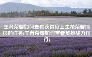 王者荣耀如何查看获得扇上生花荣耀播报的任务(王者荣耀如何查看英雄战力排行)