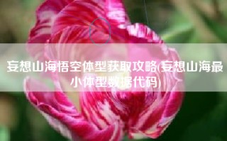 妄想山海悟空体型获取攻略(妄想山海最小体型数据代码)