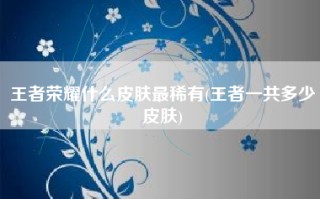 王者荣耀什么皮肤最稀有(王者一共多少皮肤)