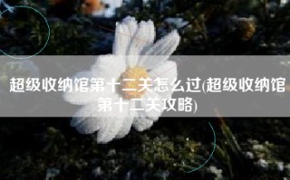 超级收纳馆第十二关怎么过(超级收纳馆第十二关攻略)