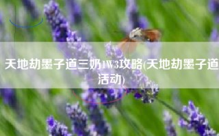 天地劫墨子道三奶1W3攻略(天地劫墨子道活动)