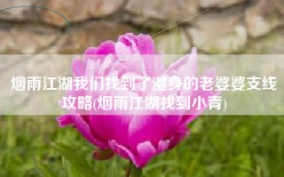 烟雨江湖我们找到了湿身的老婆婆支线攻略(烟雨江湖找到小青)