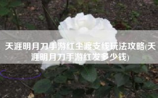 天涯明月刀手游红尘渡支线玩法攻略(天涯明月刀手游红发多少钱)