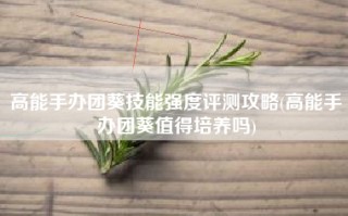 高能手办团葵技能强度评测攻略(高能手办团葵值得培养吗)