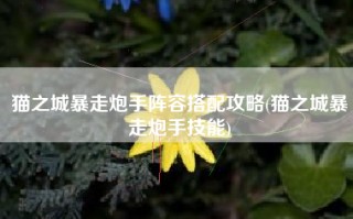 猫之城暴走炮手阵容搭配攻略(猫之城暴走炮手技能)
