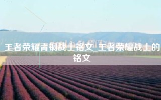 王者荣耀青铜战士铭文_王者荣耀战士的铭文