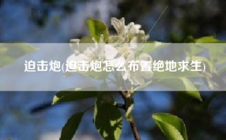 迫击炮(迫击炮怎么布置绝地求生)