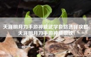 天涯明月刀手游神威武学套路选择攻略(天涯明月刀手游神威琅纹)