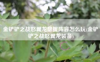 金铲铲之战怒翼龙瑟提阵容怎么玩(金铲铲之战怒翼龙装备)