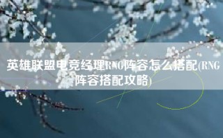 英雄联盟电竞经理RNG阵容怎么搭配(RNG阵容搭配攻略)