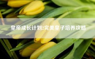 皇帝成长计划2完美皇子培养攻略