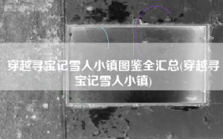 穿越寻宝记雪人小镇图鉴全汇总(穿越寻宝记雪人小镇)