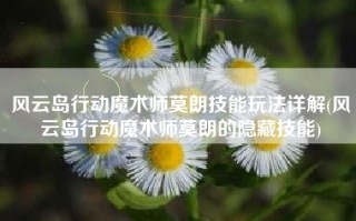 风云岛行动魔术师莫朗技能玩法详解(风云岛行动魔术师莫朗的隐藏技能)
