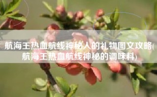 航海王热血航线神秘人的礼物图文攻略(航海王热血航线神秘的调味料)