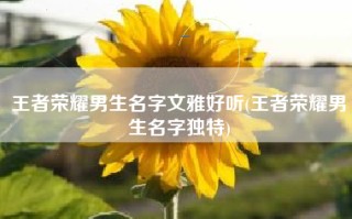 王者荣耀男生名字文雅好听(王者荣耀男生名字独特)