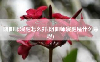阴阳师寝肥怎么打(阴阳师寝肥是什么意思)