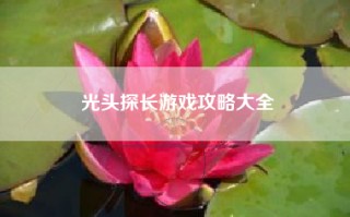 光头探长游戏攻略大全