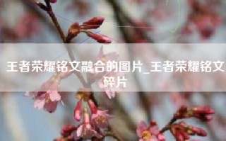 王者荣耀铭文融合的图片_王者荣耀铭文碎片
