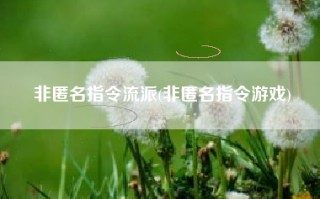 非匿名指令流派(非匿名指令游戏)