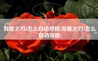 异度之刃3怎么自动寻路(异度之刃3怎么自动寻路)