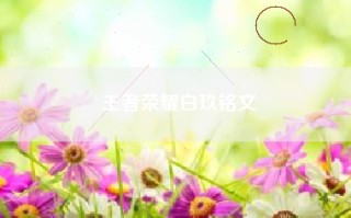王者荣耀白玖铭文