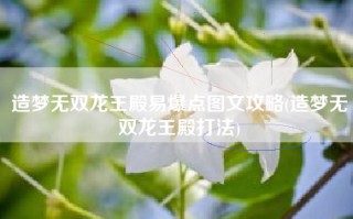 造梦无双龙王殿易爆点图文攻略(造梦无双龙王殿打法)