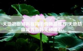 天地劫幽城再临韩千秀饰品推荐(天地劫幽城再临韩无砂魂石)