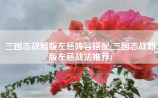 三国志战略版左慈阵容搭配(三国志战略版左慈战法推荐)