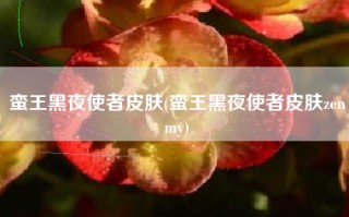 蛮王黑夜使者皮肤(蛮王黑夜使者皮肤zenmy)