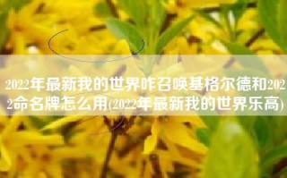 2022年最新我的世界咋召唤基格尔德和2022命名牌怎么用(2022年最新我的世界乐高)