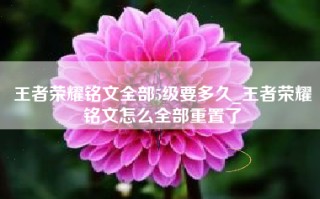 王者荣耀铭文全部5级要多久_王者荣耀铭文怎么全部重置了