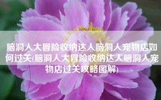 脑洞人大冒险收纳达人脑洞人宠物店如何过关(脑洞人大冒险收纳达人脑洞人宠物店过关攻略图解)