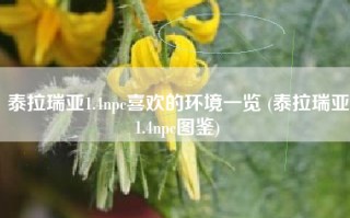泰拉瑞亚1.4npc喜欢的环境一览 (泰拉瑞亚1.4npc图鉴)