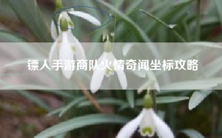 镖人手游商队火情奇闻坐标攻略
