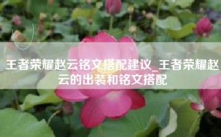 王者荣耀赵云铭文搭配建议_王者荣耀赵云的出装和铭文搭配