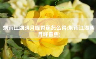 烟雨江湖明月峰香蕉怎么得(烟雨江湖明月峰香焦)