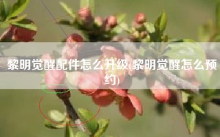 黎明觉醒配件怎么升级(黎明觉醒怎么预约)